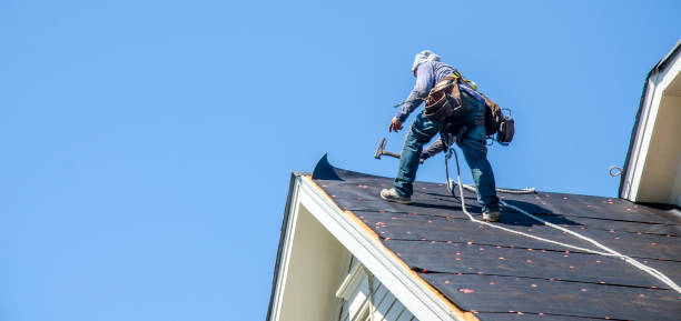 Best Gutter Installation and Roofing  in Trophy Clu, TX